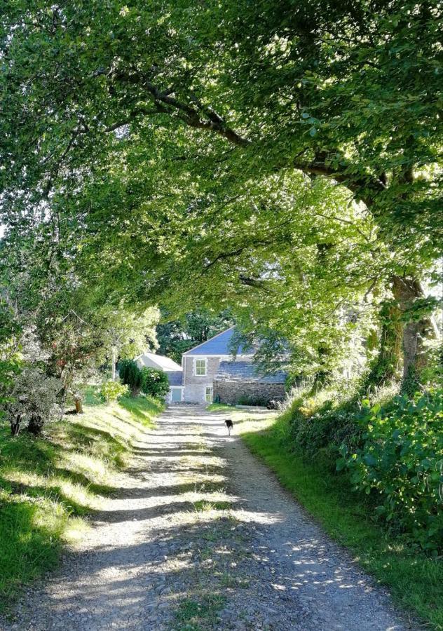 Cornwall, Looe - Magical Pendriffey Pelynt ภายนอก รูปภาพ