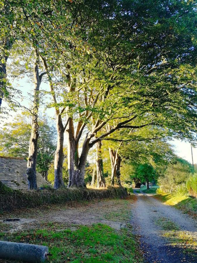 Cornwall, Looe - Magical Pendriffey Pelynt ภายนอก รูปภาพ